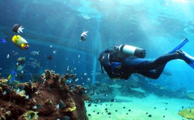 Plongée sous-marine et sports nautiques dubai