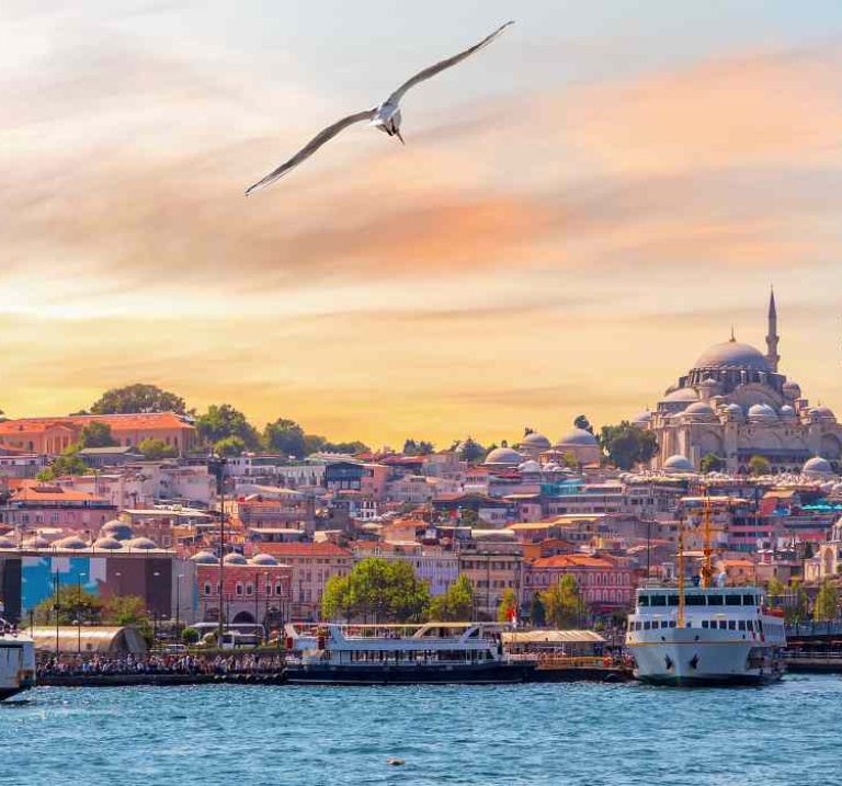 The Suleymaniye Mosque and the Rustem Pasha Mosque, view from the Bosphorus, Istanbul, Turkey.